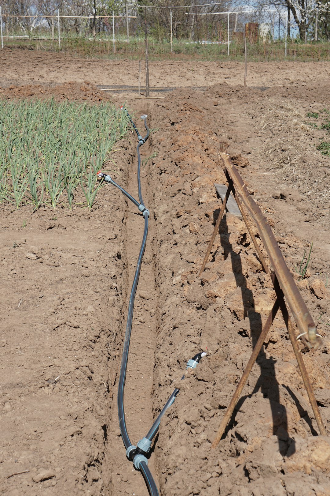 Irrigation System