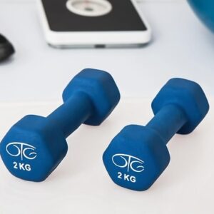 AB Dual Wheel Roller
