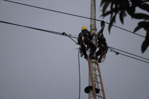 Outdoor Electrical Services